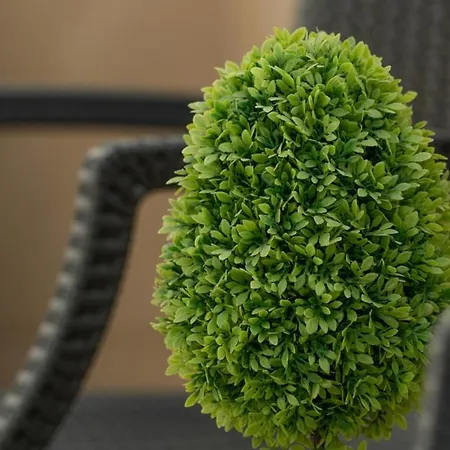 Rapisardi By Receptio Διαμέρισμα Κατάνια