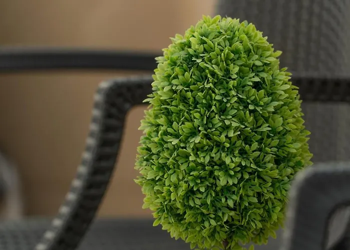 Rapisardi By Receptio Appartement Catane